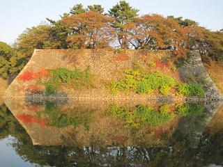 IMG_0373-s.jpg