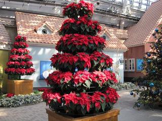 IMG_0748-s.jpg