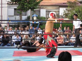 IMG_0233-s.jpg
