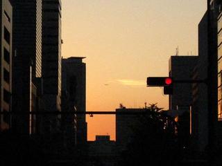 IMG_0248-s.jpg