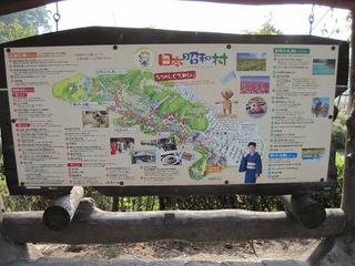 IMG_0263-s.jpg