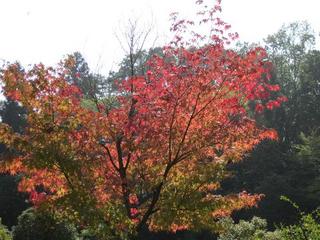IMG_0281-s.jpg