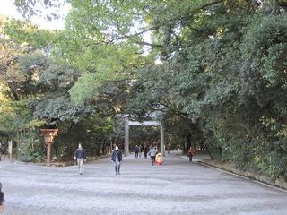 IMG_0444-s.jpg