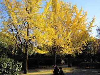 IMG_0447-s.jpg