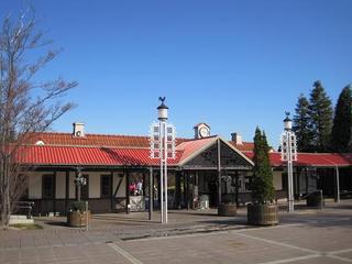 IMG_0731-s.jpg