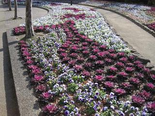IMG_0758-s.jpg